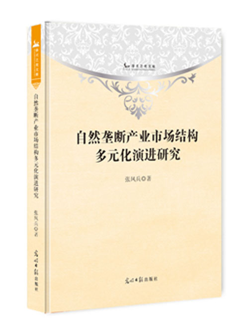 自然垄断产业市场结构多元化演进研究
